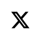 X Icon