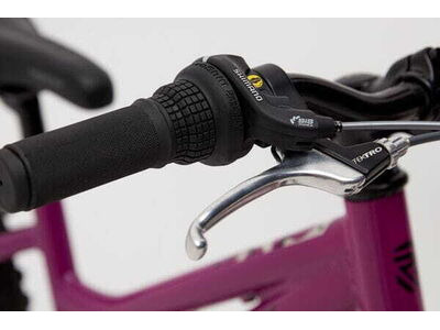 RIDGEBACK Harmony Purple click to zoom image