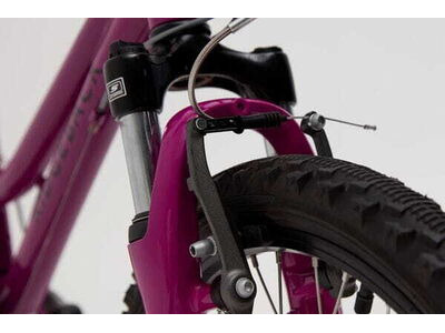 RIDGEBACK Harmony Purple click to zoom image