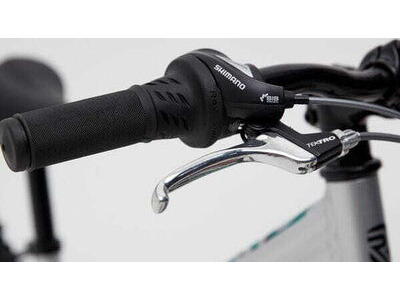 RIDGEBACK Destiny Silver click to zoom image