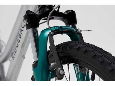 RIDGEBACK Destiny Silver click to zoom image