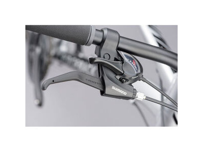 RIDGEBACK Terrain 1 click to zoom image