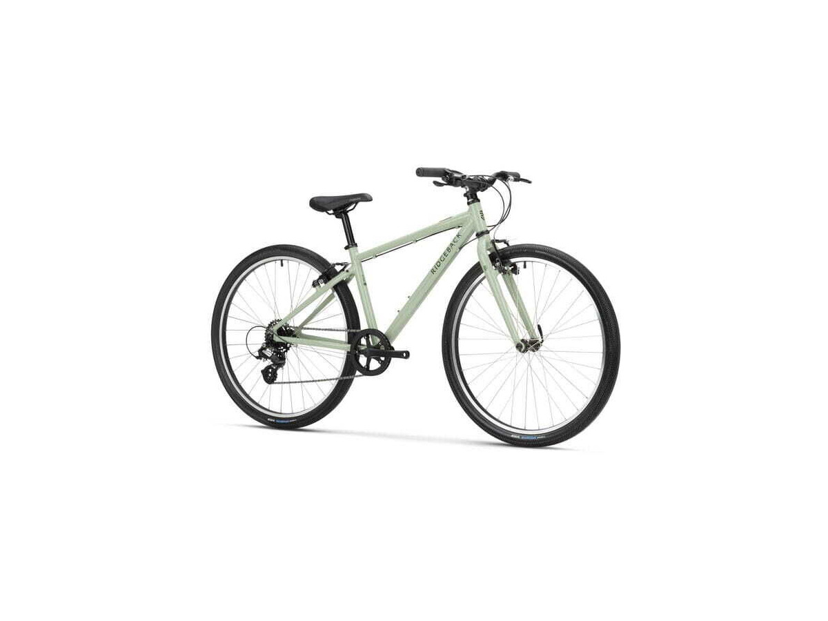 RIDGEBACK Dimension 26, Super Sage click to zoom image