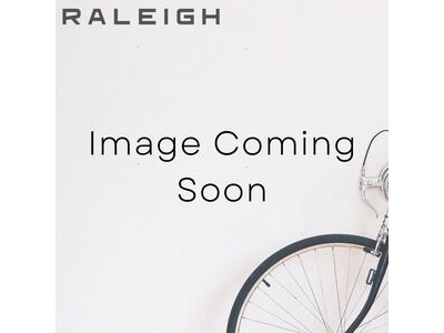 Raleigh STOWAWAY 20 FOLDER GREEN/BLACK