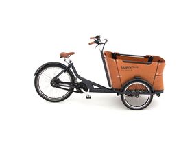 Babboe Curve Mountain 500wh